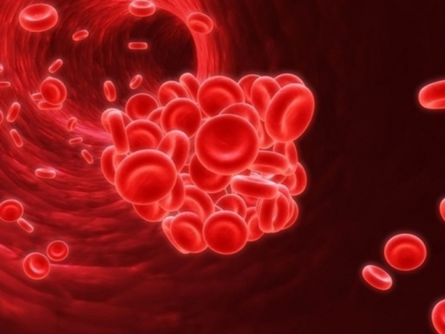 
Как разжижать кровь – правила питания и список самых эффективных продукты для сохранения здоровья кровеносной системы

